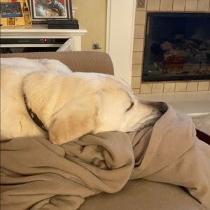 Meet your Posher, Marc